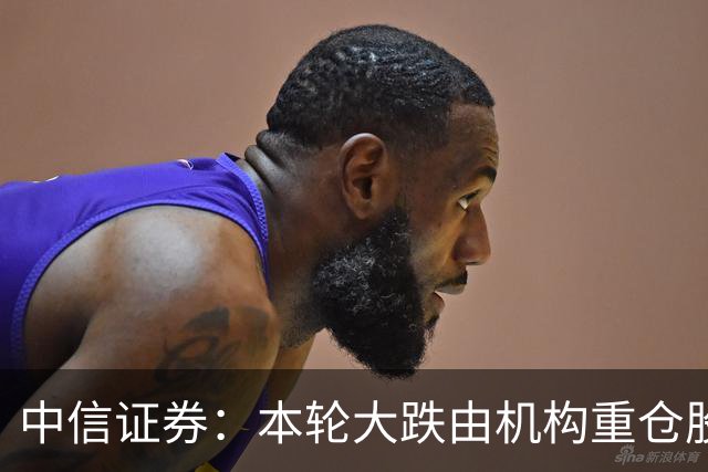 中信证券：本轮大跌由机构重仓股诱发，传导至高融资占比板块，AI核心票调整接近尾声