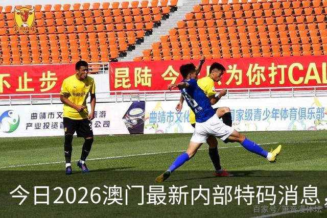今日2026澳门最新内部特码消息，第295期新六合彩精准特码资料推荐，新门澳内幕三中三预测，一肖一码精准资料