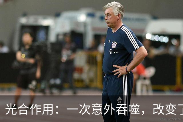 光合作用：一次意外吞噬，改变了整个地球