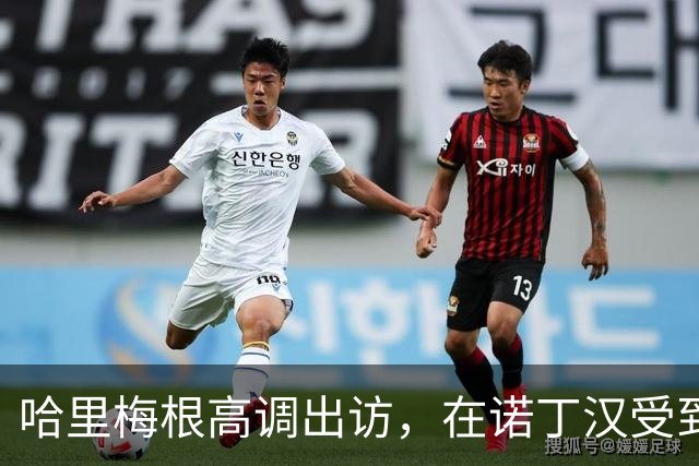 哈里梅根高调出访，在诺丁汉受到热烈欢迎，“伪王室巡演”引争议