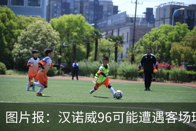 图片报：汉诺威96可能遭遇客场球迷禁令