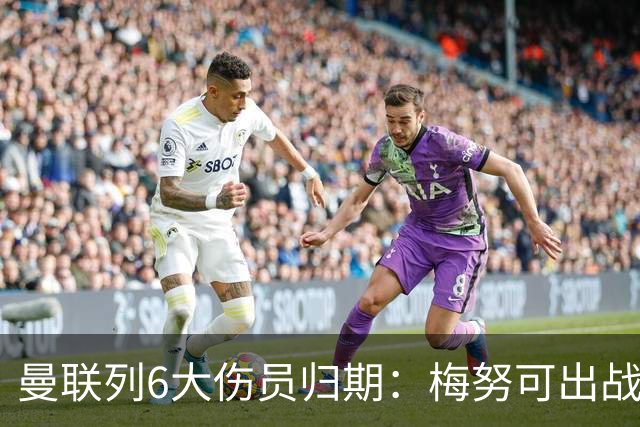 曼联列6大伤员归期：梅努可出战切尔西 舍什科1月 乌加特明年