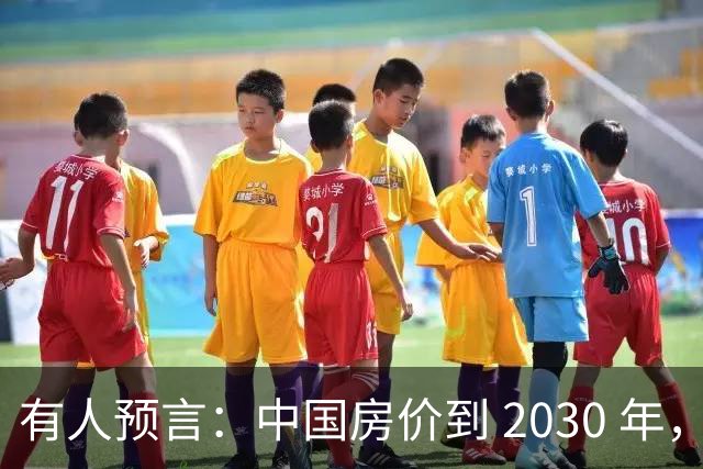 有人预言：中国房价到 2030 年，大概率将会是这样的，要做准备喽