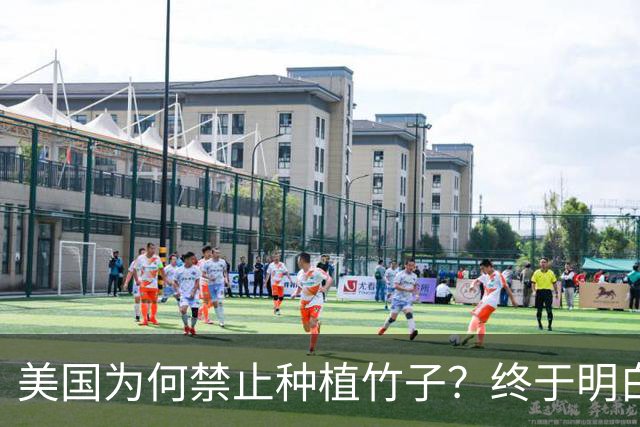 美国为何禁止种植竹子？终于明白，原来竹子比我们想象的更可怕