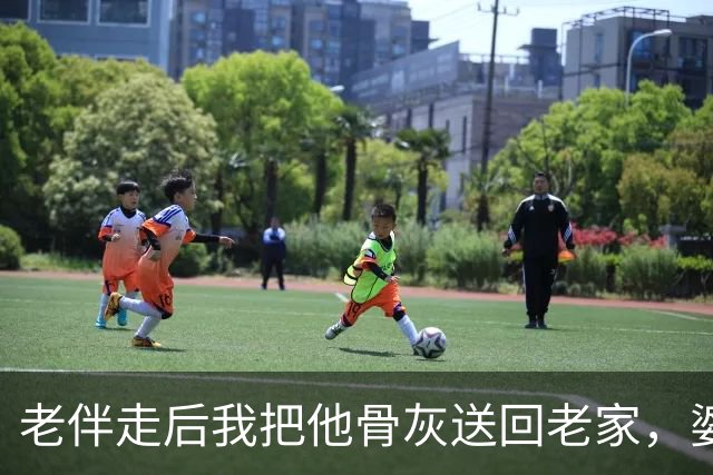 老伴走后我把他骨灰送回老家，婆家的侄子堵在村口不让我进祖坟里