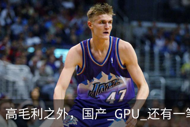 高毛利之外，国产 GPU 还有一笔 “软件账”
