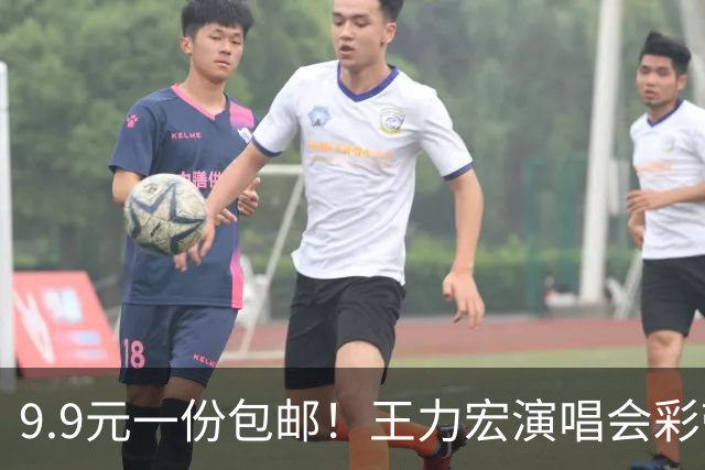 9.9元一份包邮！王力宏演唱会彩带被捡走后售卖，律师：彩带属主办方放弃的物品，个人捡拾收藏合法，对外售卖若标注官方周边则涉嫌侵权