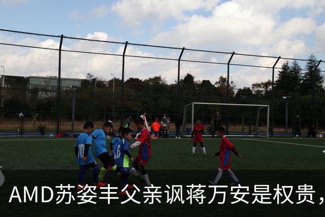 AMD苏姿丰父亲讽蒋万安是权贵，郭正亮：他是绿营美国党部主委